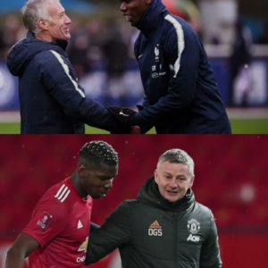 Aos 32 anos, Paul Pogba revela finalmente os cinco homens que nunca conseguiu perdoar – a verdade vem à tona